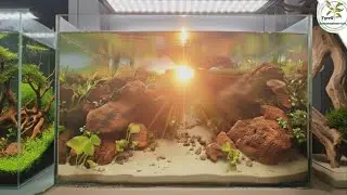 Zakładanie akwarium - zaginiony świat. 🏞️🔥🐟💧#akwarium #aquascape