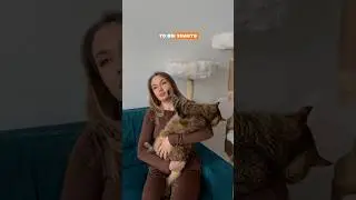 Арт. OZON #2389342595