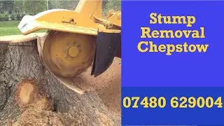 Stump Removal Chepstow Cost Effective Stump Grinding Services For Commercial And Residential