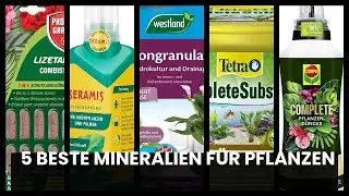 Mineralien f&uuml;r Pflanzen: 5 beste Mineralien f&uuml;r Pflanzen