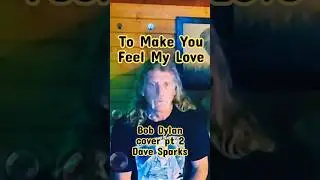 To Make You Feel My Love 2 Bob Dylan #cover Dave Sparks #music #video #livemusic #folkrock #folk