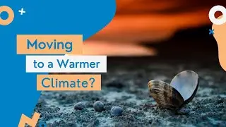 Moving to a Warmer Climate