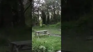 Garden Satisfaction 2
