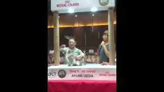 Selkirk Rex at a CFA Show