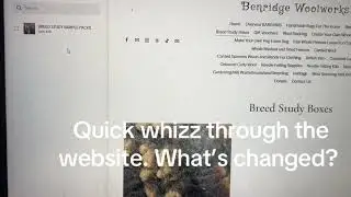 Quick Whizz through the website. What&rsquo;s changed so far?  #crafting #makestuff #needlefelting 