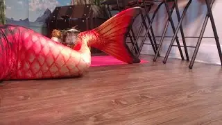 MERMAID PARTY!  🧜🏾&zwj;♀️Mermaid Syrena entertainment for parties & events