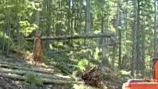 Logging:  Downhill Yarding with a Madill 071 yarder