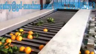 round fruit/vegetable sorting machine (orange grading machine)