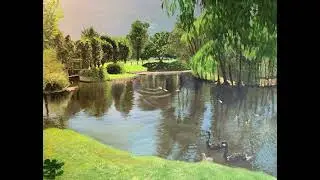 Lake Alford Park