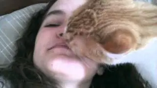 Friend's cat licks my face (mute)