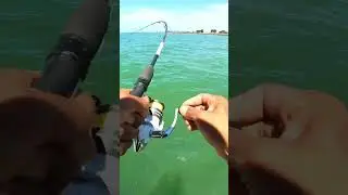 🎣 Catching King George Whiting at Werribee! | Family Fishing Fun