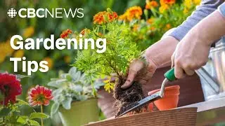 Have you started to plant your garden? We've got some tips for you