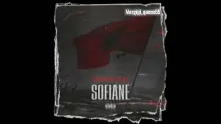 Slowed & Reverb Sofiane - Training Day