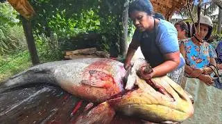 Powerful Woman Cuts Massive Cobia Fish in a Crowded Street Fish Market