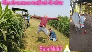 ગૌવ સેવા કરતા ભાઈઓ ની મોજ Raja Meldi 🙏