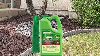 Green Gobbler Natural Total Control Weed & Grass Killer   Made with Concentrated Salt & Vinegar