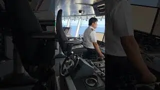 Bridge Viking Octantis