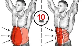 10 MIN DO TRBU&Scaron;NJAKA - Six Pack trbu&scaron;njaci kod kuće (bez opreme)