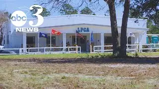 Parent details Florida Christian academy's alleged faults amid crowded home complaints