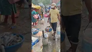 #Khar Danda auction #fish #fishing #shortvideo