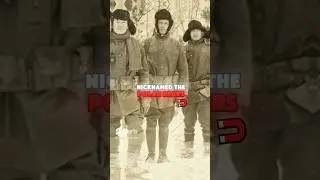 United States &ldquo;Invasion&rdquo; of Russia- Polar Bear Expedition #history #ww1 #shorts #military