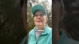 False Advertising in Florida 🐊 #floridalife