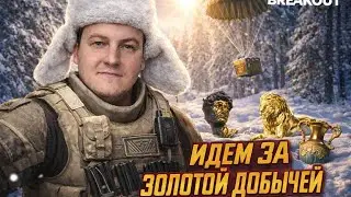 ИДЕМ ЗА ЗОЛОТОЙ ДОБЫЧЕЙ НА НОРТРИДЖ☠️🔴STREAM ARENA BREKOUT