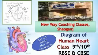 Diagram of Human Heart : Life Processes | Class 10 | Biology | Science| By Bharat | NWC |