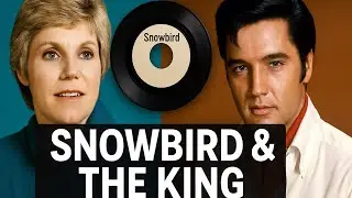 The Truth About Elvis Presley&rsquo;s Love for Anne Murray&rsquo;s Music