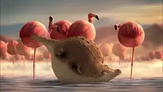Motherbird fatty and babybird also fatty  flamingo bird standing in river crocodile diving in river 
