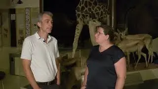 Au cœur des collections des Muséums - 1/2