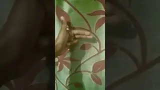 diskio 😏
