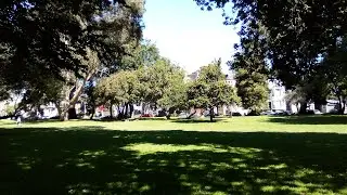 Relaxing Nature, Relaxing Music: A Walk in Golden Gate Park, Shared Through My Photography