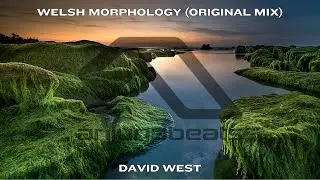 David West - Welsh Morphology (Original Mix)