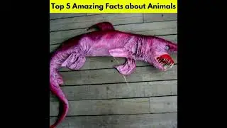 Top 5 Most Amazing Random Facts in Hindi/Urdu #9 | Interesting Facts Shocking Facts | #facts #shorts