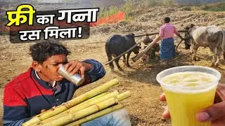 Free Ka Ganna Ras 😋 | Bahut Mehnat Ke Baad Mila 😂 | @sargujiyasonuvlogs01 