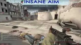 www.insaneaim.net CSGO CHEATS - FACEIT, VAC, MATCHMAKING, CEVO
