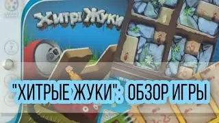 Обзор настольной игры Smart Games Хитрые жуки. Интересная логическая игра для детей и взрослых