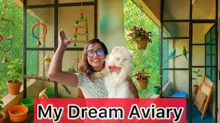 Balcony Aviary Making Video|DIY Bird Cage|Exotic Birds|Balcony Cage Setup For Budgie and Cockatiel|
