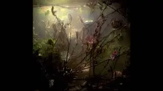 (Free) Nujabes x J Dilla Type Beat - 'Glow'