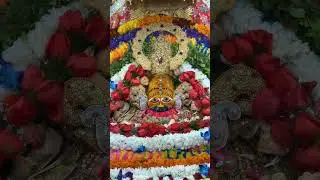 Bolo Khatu Naresh ki Jay 🙏🙏🙏🙏ll #khatushyam #khatu #khatunaresh #shyam #shyambhajan #shorts