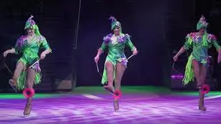 Circus on ice! Цирк на льду!