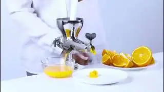 100% Stainless Steel Wheatgrass manual juicer fruit citrus juice e