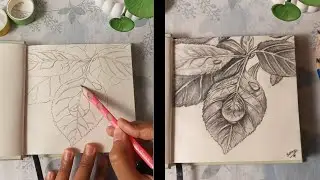 Drawing leaves and water drops with pencil l Step by step realistic drawing ideas for beginners.