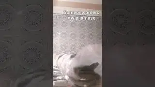 last pijamase part2 wait for part3