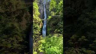 The iconic Multnomah Falls of Oregon. #PNW