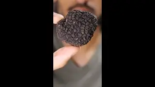 My First Time Trying Truffles