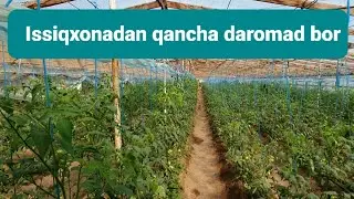 ISSIQXONADAN QANCHA DAROMAD  QOLADI.14.04.2024🍅🍅🍅🍅