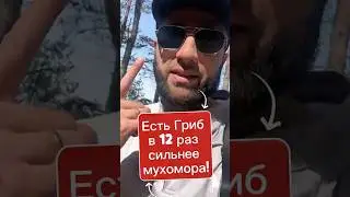 Секрет о котором тебе не скажут другие - это 
