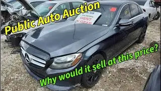 The bidding is crazy at the public auto auction